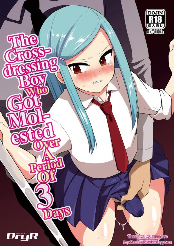 Josou Danshi ga Chikan ni Okasareru made no 3 Hiai Josou Danshi ga Chikan ni Okasareru made no 3 Hiai