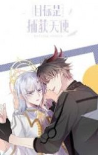 Capture the Angel Capture the Angel