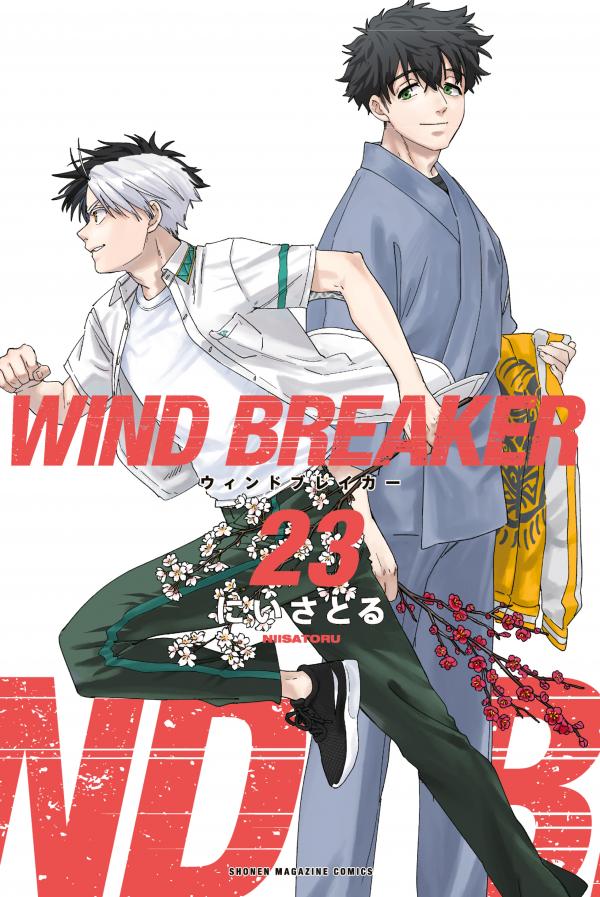 Wind Breaker (Nll Satoru)