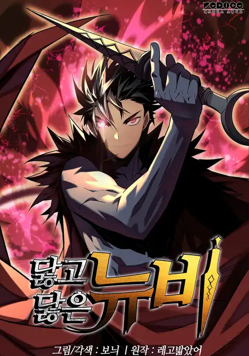 Novato Roto y Desgastado Novato Roto y Desgastado